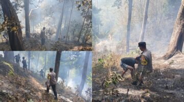 Kebakaran lahan yang melanda kawasan Taman Love, Kelurahan Moya