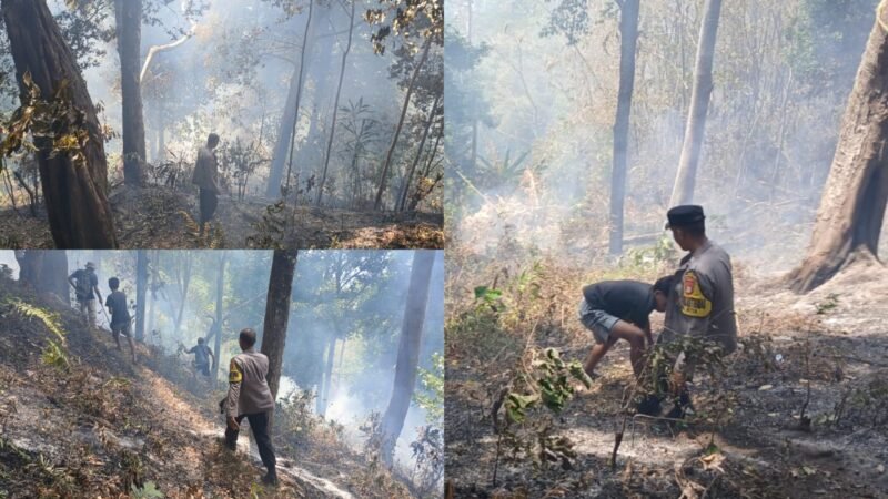 Kebakaran lahan yang melanda kawasan Taman Love, Kelurahan Moya