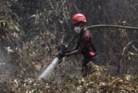 Tim Gabungan Lakukan Penanganan Karhutla mulai Tanggal 1 Oktober Hingga Saat Ini (Istimewa) 