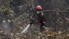 Tim Gabungan Lakukan Penanganan Karhutla mulai Tanggal 1 Oktober Hingga Saat Ini (Istimewa) 
