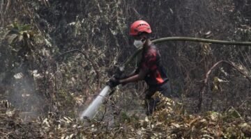 Tim Gabungan Lakukan Penanganan Karhutla mulai Tanggal 1 Oktober Hingga Saat Ini (Istimewa) 